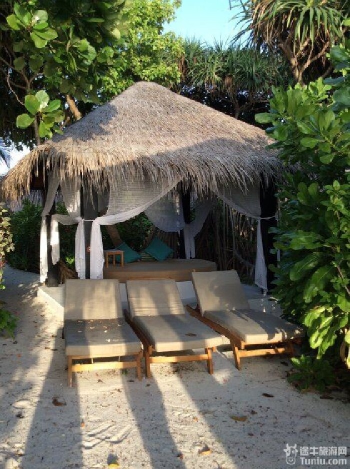 我们家的两位小朋友,泳池边上的树下有个冲淋,再往外走又是一个茅草