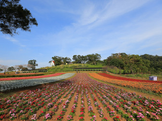 大溪花海农场