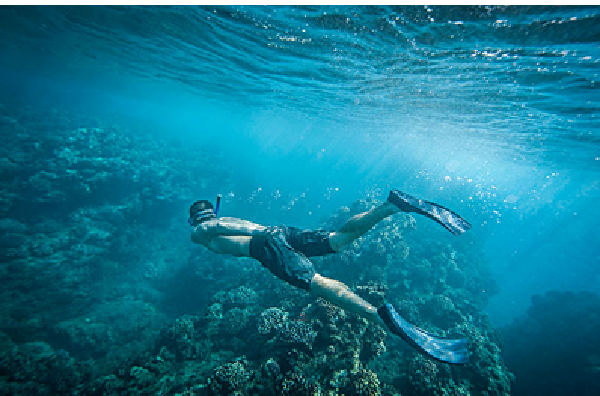 加井岛户外潜水