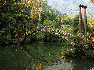 溪头森林游乐区