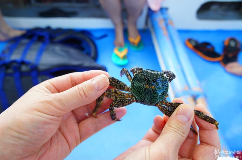有红色的海星,有白色的贝壳,有青色的螃蟹……船行中间,阿美要求我们
