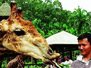 香江野生动物世界