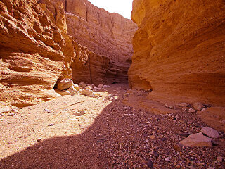 罗布泊雅丹大峡谷