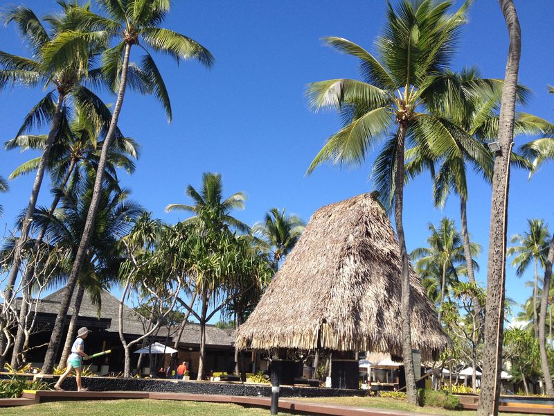 草屋是斐济的一大民俗特色