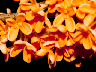 香泉映月生态旅游度假区