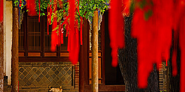 亮点图片