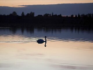 潘安湖国家湿地公园