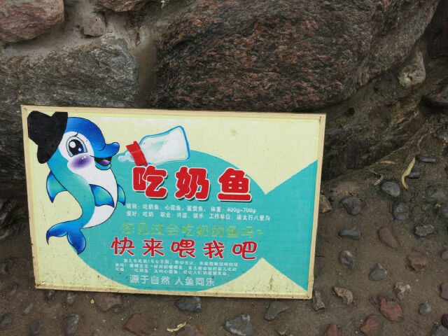 可以从摊贩那里租奶瓶喂鱼.另外兑换硬币是怎么回事呢?