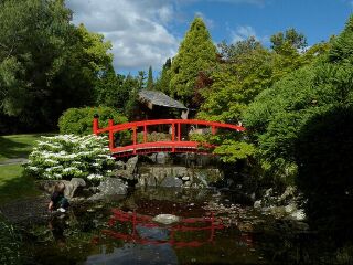 塔斯马尼亚皇家植物园