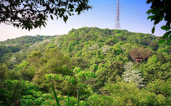 虎头山公园旅游景点大全