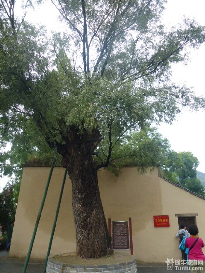 我在延安过中秋