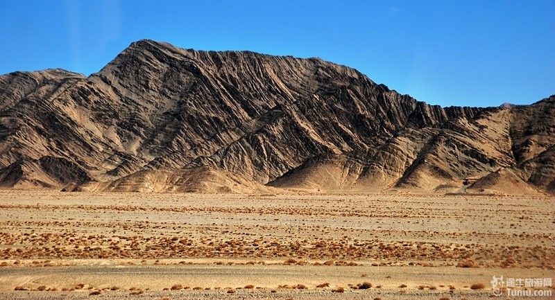 土壤主要有灰棕漠土,风沙土,盐土,属中亚荒漠,地表覆盖植被稀少,以