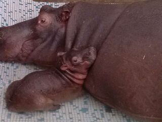 杭州野生动物世界