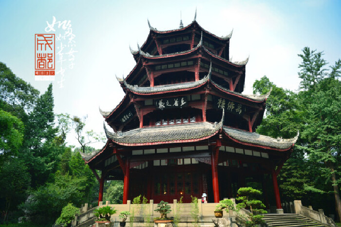 成都如多态女子如少年书生