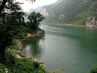 大板营原始森林