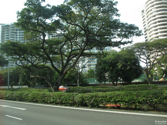 花园城市新加坡 马里安曼兴都庙 攻略游记 途牛 花园城市新加坡 马里安曼兴都庙 攻略游记 途牛