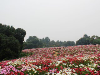 成都石象湖景区