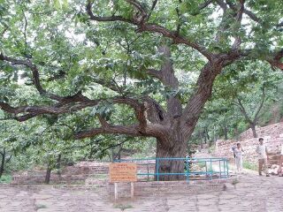 邢台前南峪风景区
