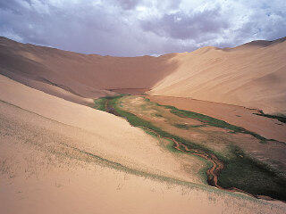 阿尔金山自然保护区