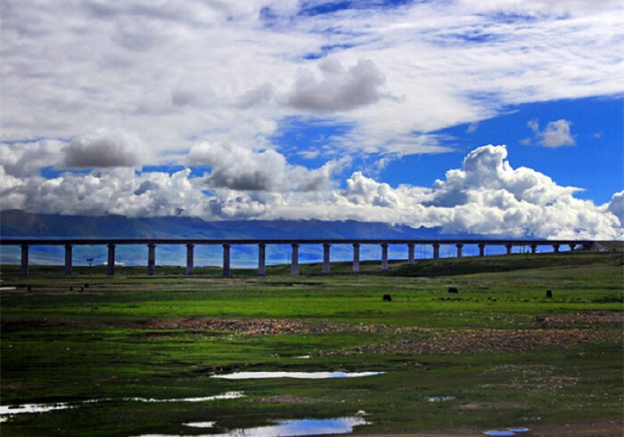 (zl11)在前往纳木错的当雄县境内,见一铁路桥似穿入云霄的"天路",那