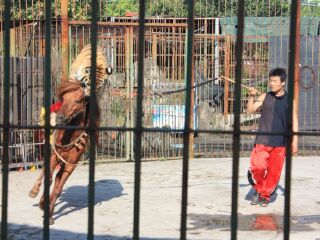 厦门海沧野生动物园