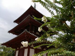 飞鸟寺