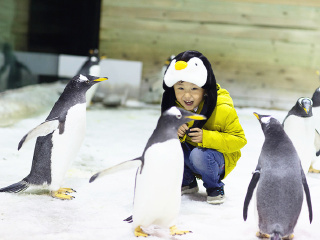 大连圣亚海洋世界