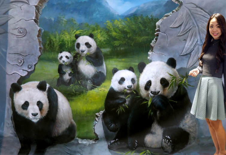 澳门十六浦3d奇幻世界