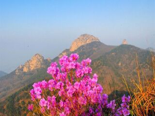 蒙山国家森林公园