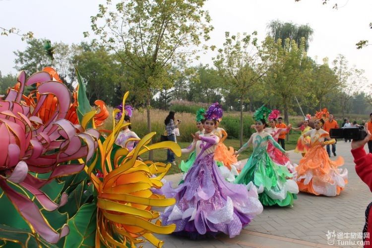 鲜花港与菊花仙子的约会