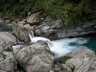 富源森林游乐区