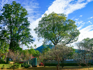 复兴角板山公园