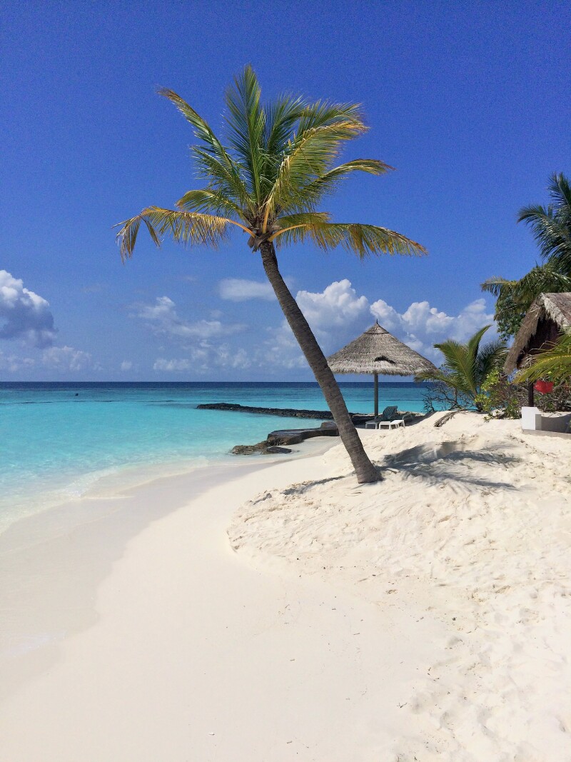 2015年4月30日5月3日马尔代夫蓝色美人蕉岛的难忘假