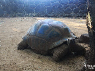 卡塞拉飞鸟公园