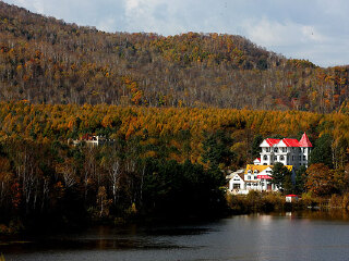 洪河自然保护区