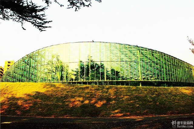 日本 最美时候的新宿御园 银座 攻略游记 途牛