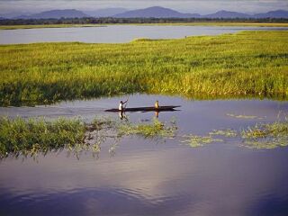 巴布亚新几内亚