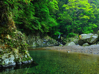 乌来风景特定区