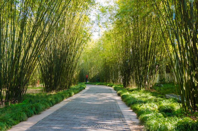 烟花三月,相约扬州.