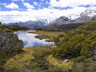 基奈峡湾国家公园