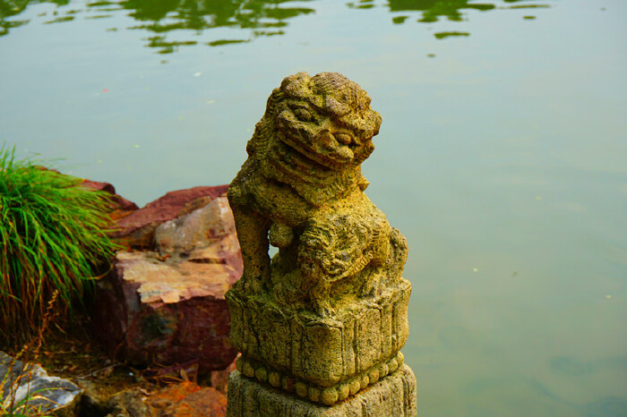 石狮子低头浅笑着.