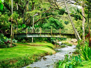 夏威夷热带植物园