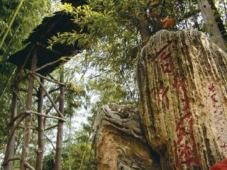 楼观台国家森林公园