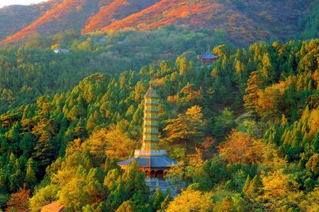  北京香山公園1日遊>秋意濃,紅葉情