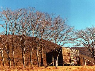 纳玛吉国家公园