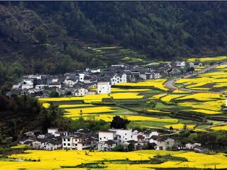 江西婺源风景区