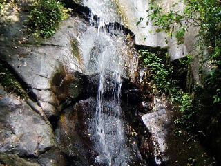 千岛湖森林氧吧