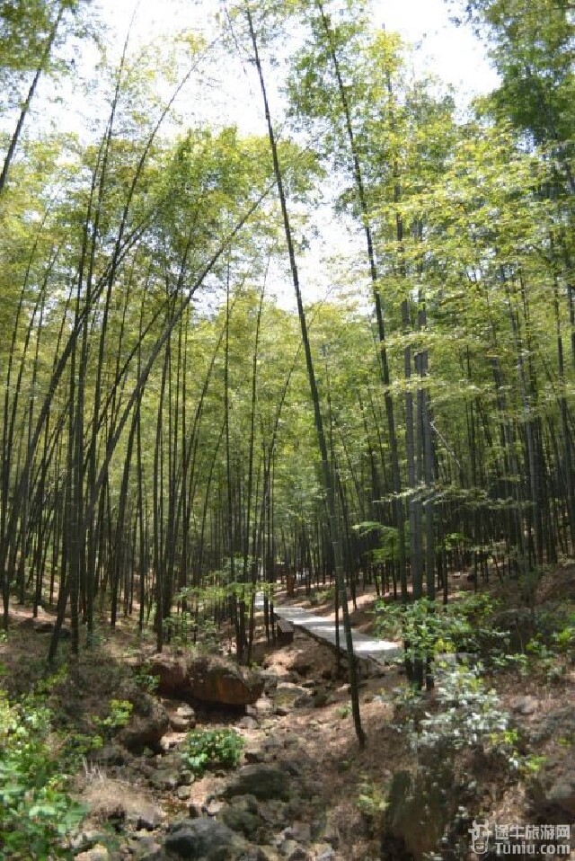 溧阳文旅管理平台助力城市文化新引擎