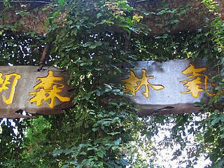 千岛湖森林氧吧