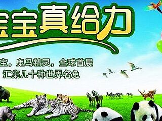 香江野生动物世界